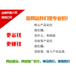 沧州天助人和 网络营销外包与软件外包双轮驱动，助力企业数字化转型